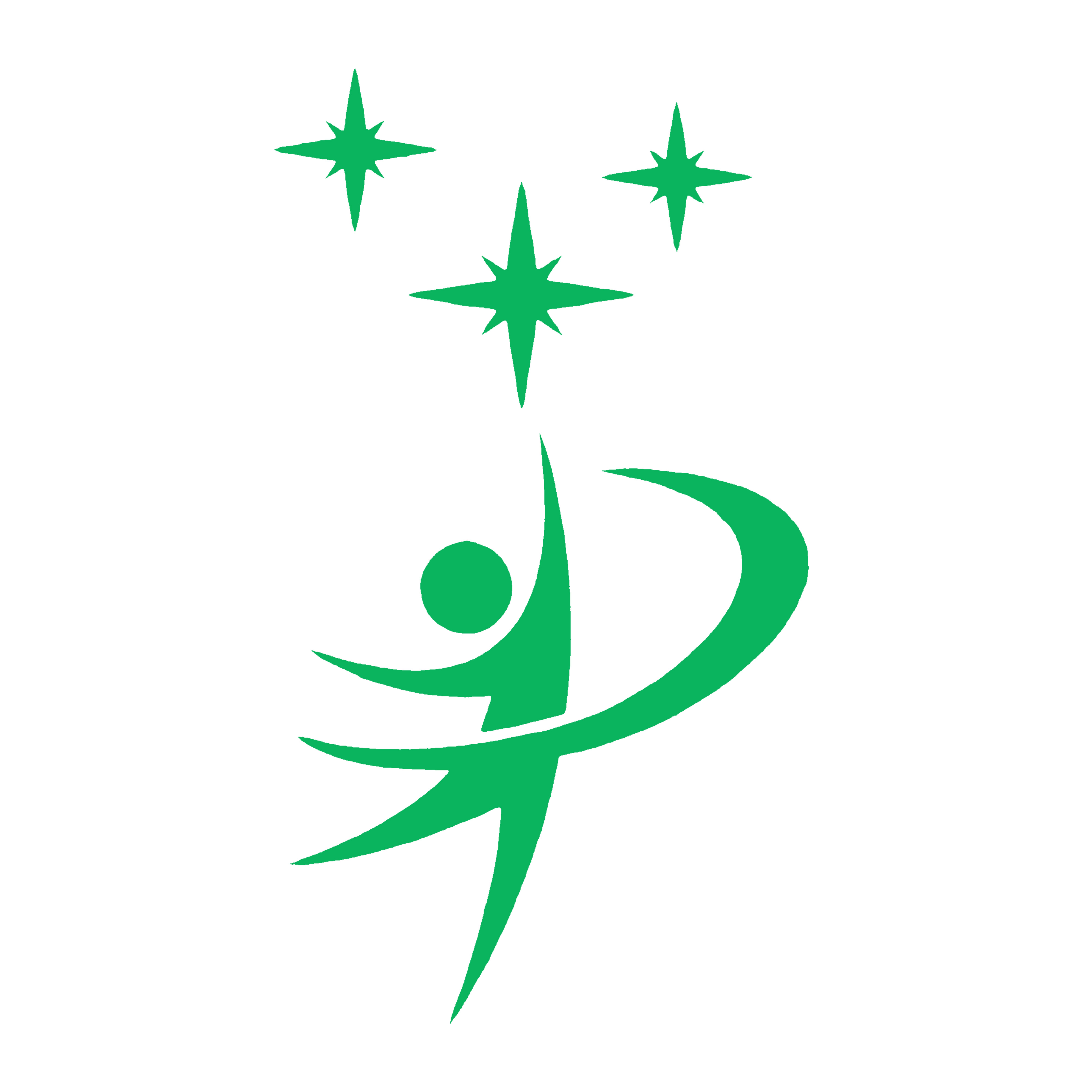 Sailing Stars Logo